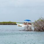 Sian Kaan Reserve Tour with Boat Trip and Maya Village Visit - Who is This Tour Best Suited For?