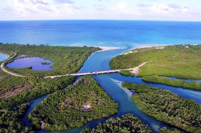 Sian Kaan Tour of Muyil Ruins and a Swim in Magical Cenote - What’s the Experience Like in Practice?