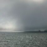 Sick Day Midweek Kayak Tour on Tomales Bay - Who Will Love This Tour?