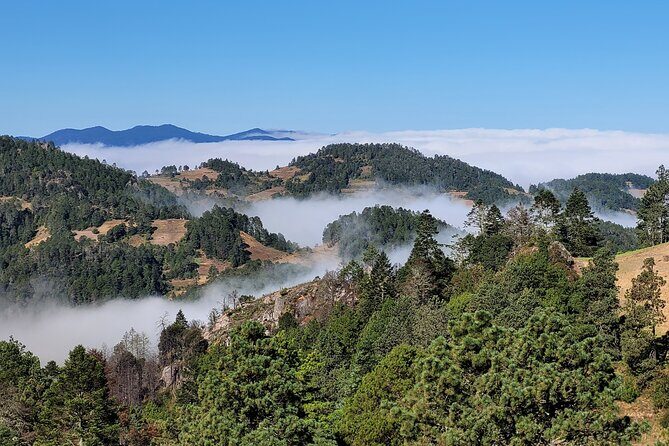 Sierra Norte Hike and Indigenous Village Full-Day Adventure - What the Reviews Say