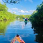 Siesta Key Guided Eco Tour - The Experience in Real Terms