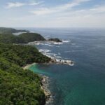 Sighting DE Marine Mammals and Snorkeling - Who Will Love This Tour?