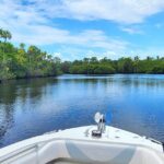 Sightseeing Cruise/Narrated Tour - Private 4 Hour - An Honest Dive into the Experience