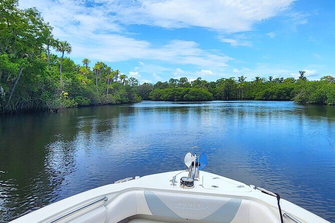 Sightseeing Cruise/Narrated Tour - Private 4 Hour - An Honest Dive into the Experience