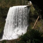 Silver Falls Hike - Who Will Love This Tour?