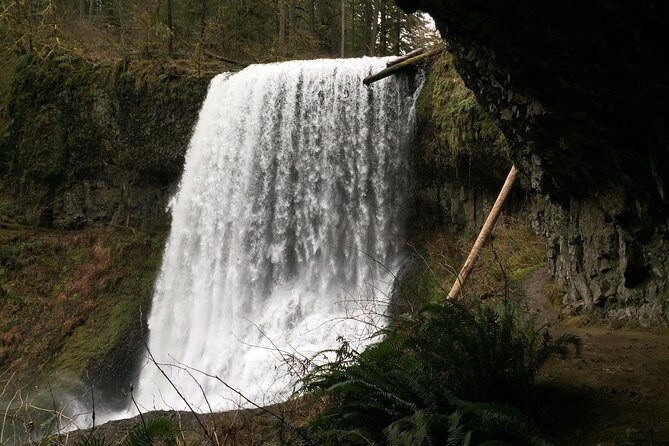 Silver Falls Hike - Who Will Love This Tour?
