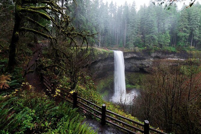 Silver Falls Private Hike Tour - What Travelers Say