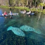 Silver Springs: Clear Kayak Wildlife Adventure - FAQ: Your Questions Answered