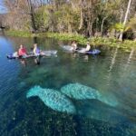 Silver Springs: Clear Kayak Wildlife Tour - Practical Tips for Your Kayaking Adventure