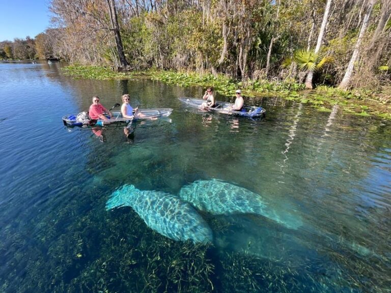Silver Springs: Clear Kayak Wildlife Tour - Practical Tips for Your Kayaking Adventure