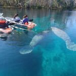 Silver Springs: Manatees and Monkeys Clear Kayak Guided Tour - What Makes It a Good Value?