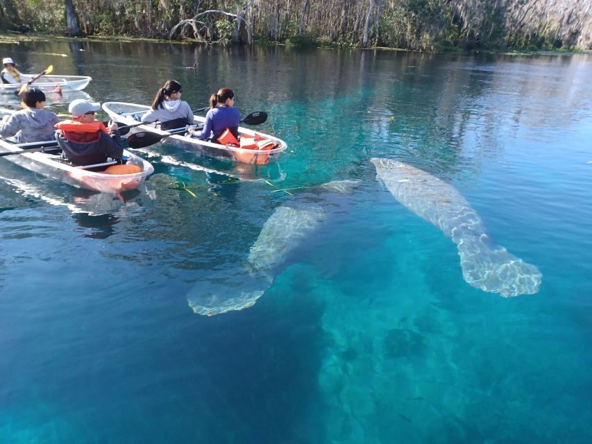 Silver Springs: Manatees and Monkeys Clear Kayak Guided Tour - What Makes It a Good Value?