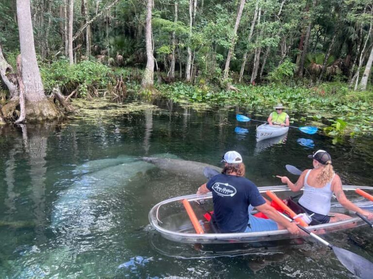 Silver Springs: Manatees, Monkeys, and Natural Spring Tour - Final Thoughts