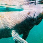 Silver Springs Paddle Adventure - The Value of the Experience