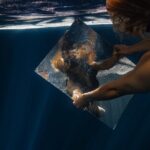 Single photo shoot in Cenotes de Yucatan - The Itinerary in Detail