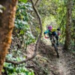 SINGLETRACK MOUNTAIN BIKE - Guided through the jungle - The Real Experience: What Travelers Say