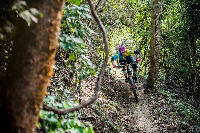 SINGLETRACK MOUNTAIN BIKE - Guided through the jungle - The Real Experience: What Travelers Say