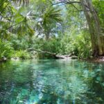 Sisal Mangrove and Beach Kayak Tour From Merida - What’s Included & What to Expect