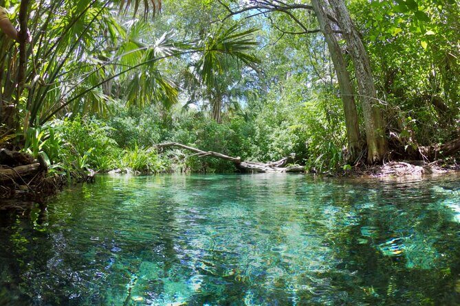 Sisal Mangrove and Beach Kayak Tour From Merida - What’s Included & What to Expect