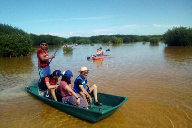 Sisal Mangroves & Beach Expedition from Merida - Pricing and Value