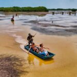 Sisal Yucatán: Flamingo Safari Tour Mangroves - An In-Depth Look at the Flamingo Safari Experience