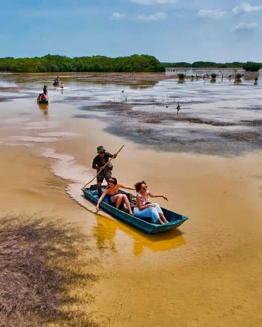 Sisal Yucatán: Flamingo Safari Tour Mangroves - An In-Depth Look at the Flamingo Safari Experience