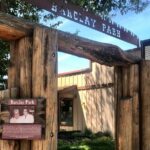 Sisters Team Trivia Hunt: New 2024 Mobile App! - Pricing and Value