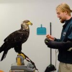 Sitka: Alaska Raptor Center Admission Ticket - What to Expect from Your Visit