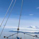 Sitka Boat Tours: whale watching, hot springs, kayaking - Final Thoughts: Is This Tour Right for You?