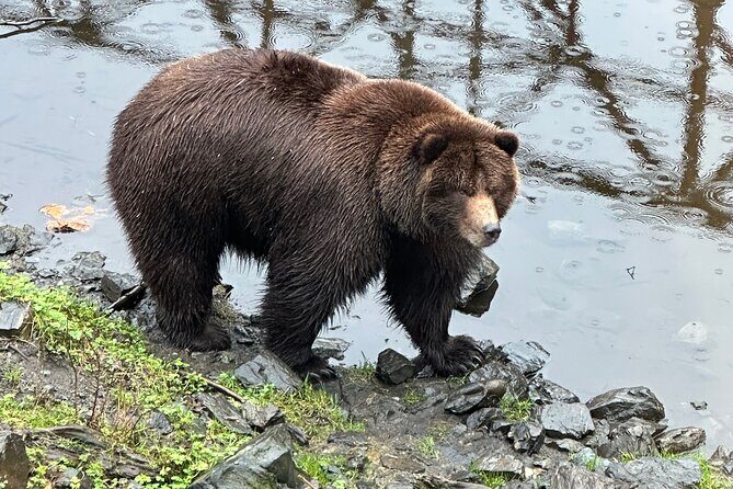Sitka Scenic Private Tour - Who Is This Tour Best For?