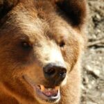 Sitka Scenic Tour - In-Depth Look at the Itinerary