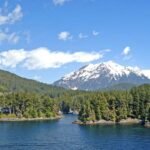 Sitka: Totem Poles, Raptor Centre, & Fortress of Bears Tour - What Past Travelers Say