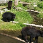 Sitka's only Private Simply Amazing Tour - Transport, timing, and group size