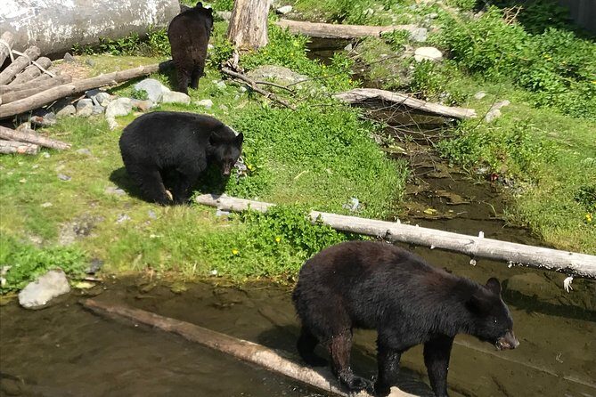 Sitka's only Private Simply Amazing Tour - Transport, timing, and group size