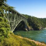 Skagit Valley Birding + Deception Pass Day Tour From Seattle - What We Liked Most