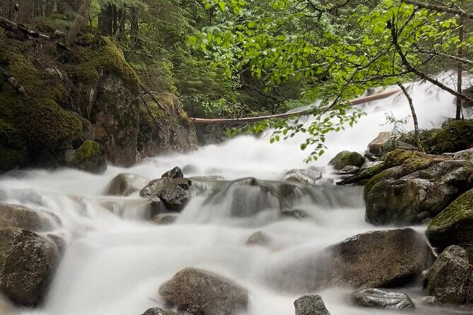 Skagway Waterfall Tour - Who Will Love This Tour?