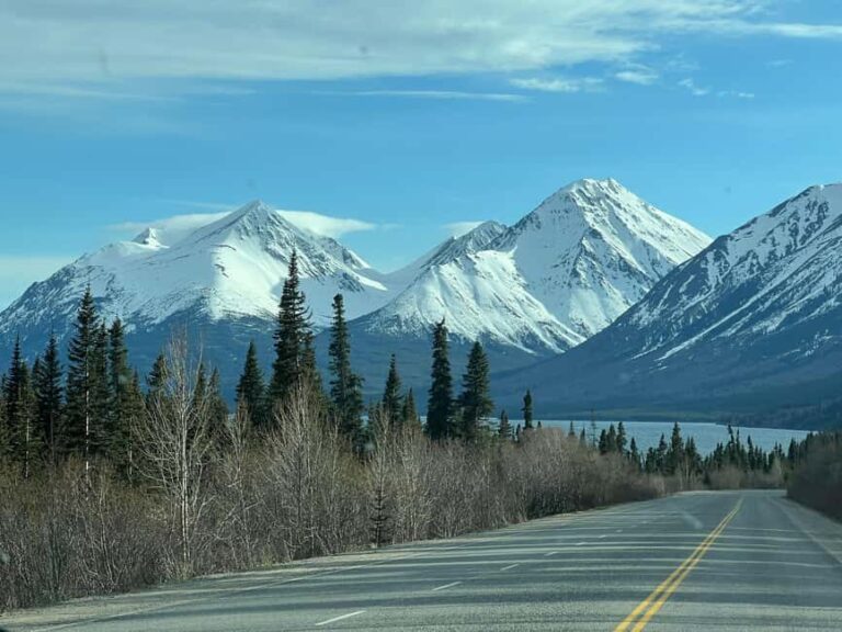 Skagway: Yukon Discovery Tour - The Real Value of the Tour