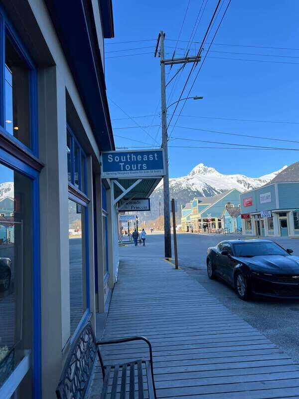 Skagway: Yukon Suspension Bridge & Summit Tour - The Itinerary and What to Expect
