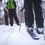 Skiing (Hok Ski) Excursion in Jacques-Cartier National Park - Who Will Love This Tour?