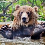 Skip the Line: Kamloops BC Wildlife Park Admission Ticket - Key Points