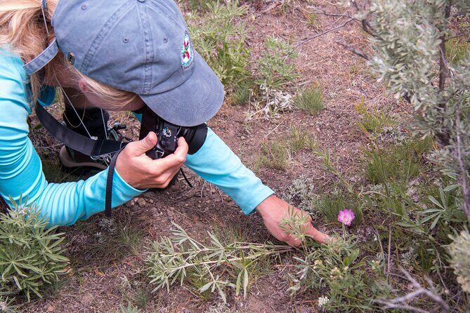 Slough Creek Naturalist Day Hike - An In-Depth Look at the Experience