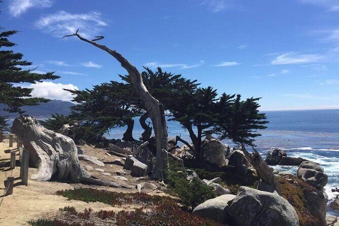 Small Group | 1 Day Tour Through Monterey From San Francisco - What’s Included and What’s Not
