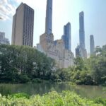 Small Group 2 Hours Walking Tour of Central Park - up to 8 people - Who Is This Tour Best For?