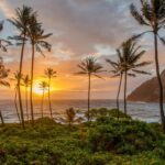 Small Group 3 Hour Honolulu Sunrise Tour with Malasadas - Practical Details and What to Bring