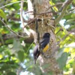 Small-Group Birdwatching Sian Kaan with professional guide - The Value of the Experience