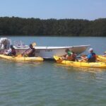 Small Group Boat, Kayak and Walking Guided Eco Tour Everglades - The Itinerary: Step-by-Step Breakdown