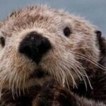 Small Group Boat Tour of Sitka - The Itinerary: What to Expect