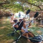 Small-Group Clear Kayak Tour in Shell Key - Itinerary Breakdown