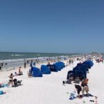 Small Group Clearwater Beach, Dolphin Watch Day Tour from Orlando - Practical Tips for Travelers