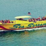 Small Group Clearwater Beach,Dolphin Watch Tour from Orlando - What to Expect from the Tour